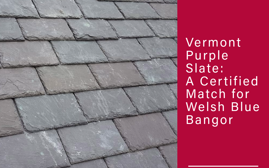 Introducing Vermont Purple Slate to Ireland &ndash; A Heritage Match