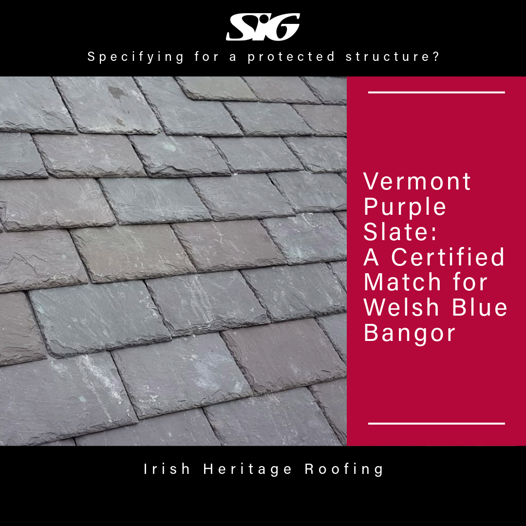 Introducing Vermont Purple Slate to Ireland &ndash; A Heritage Match